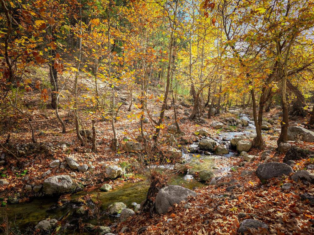 Belemedik’te Sonbahar Renkleri Ziyaretçileri Büyülüyor4