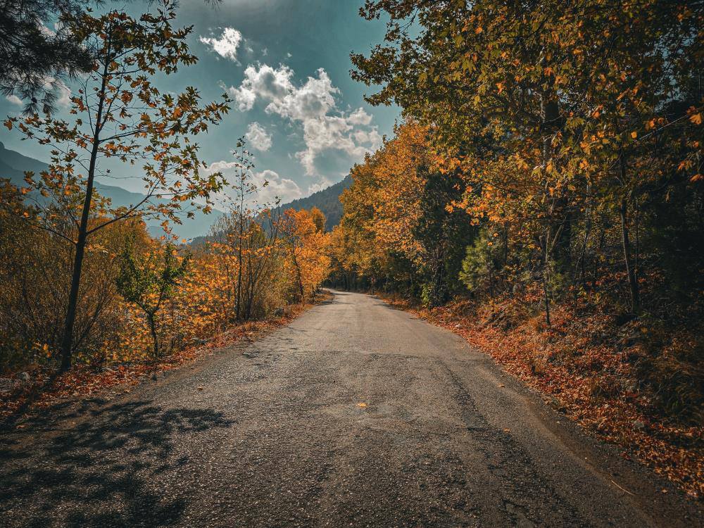 Belemedik’te Sonbahar Renkleri Ziyaretçileri Büyülüyor5