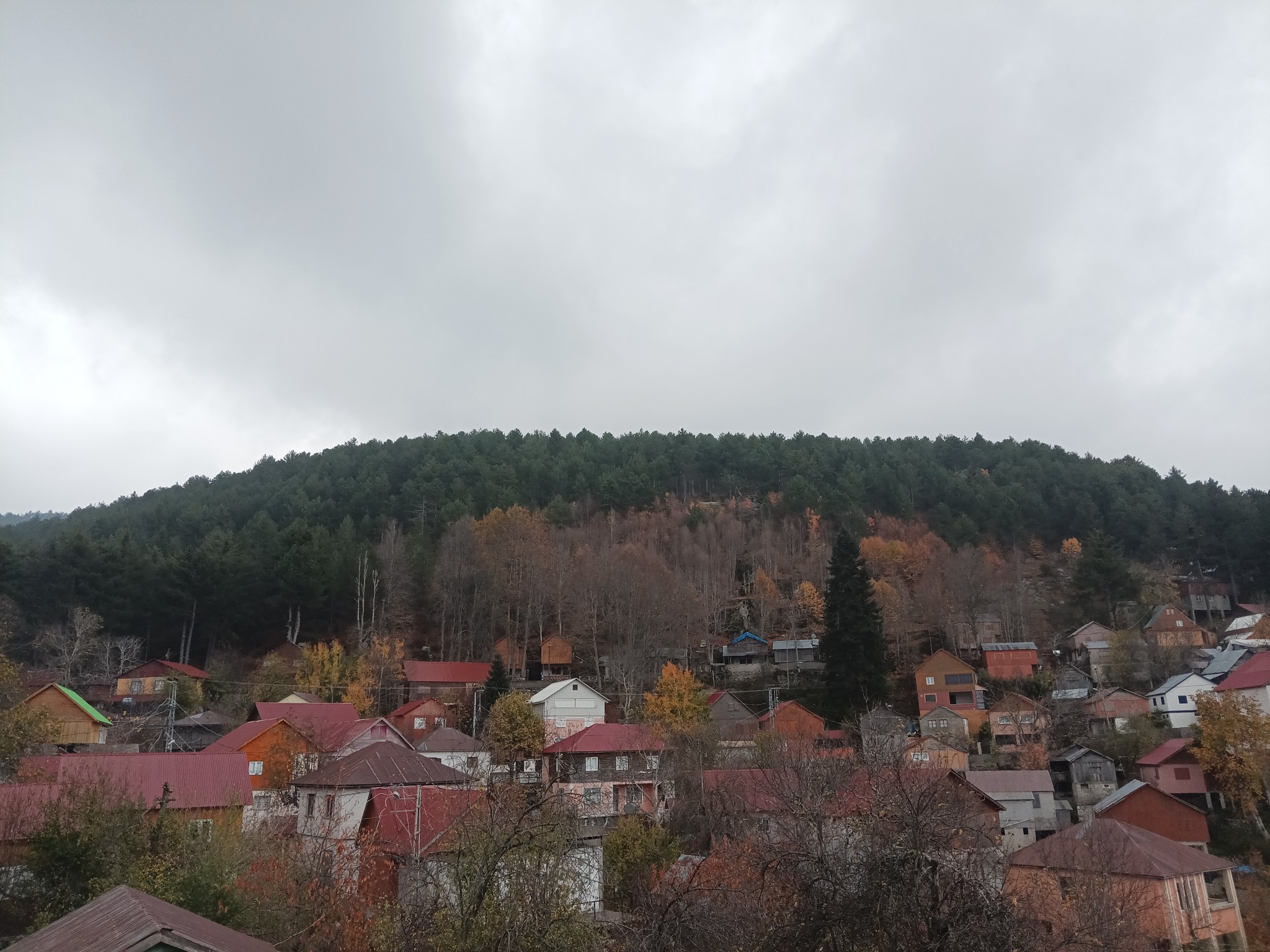 Büyük Küreci Yaylası’nda Bahar Manzaraları (5)