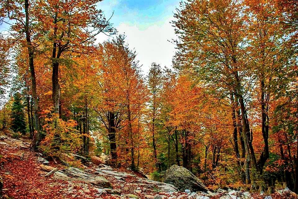 Daz’da Sonbahar Renkleri Doğaseverleri Büyülüyor5