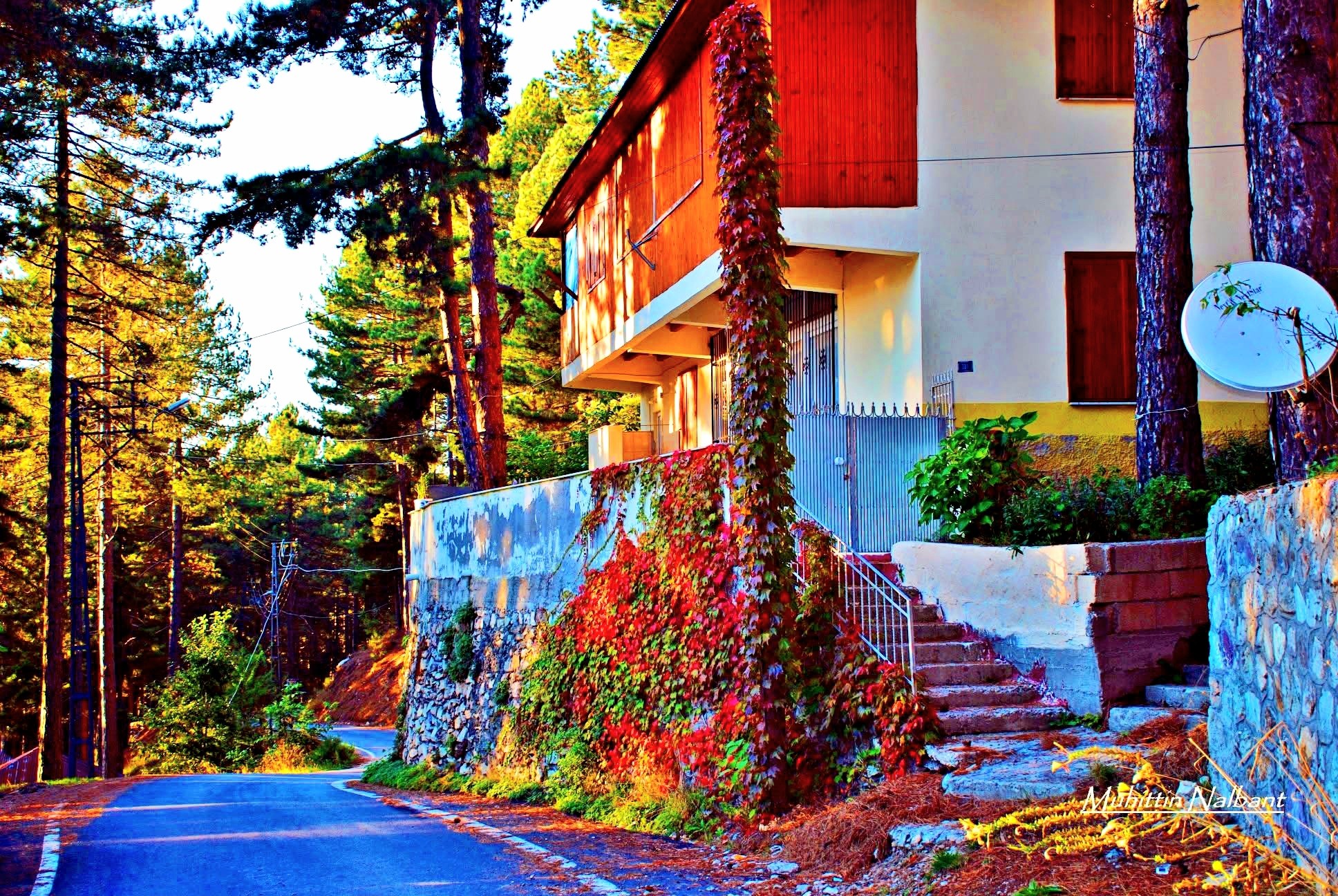 Dörtyol Bağrıaçık Yaylası Sonbaharda Renk Cümbüşü Sunuyor3