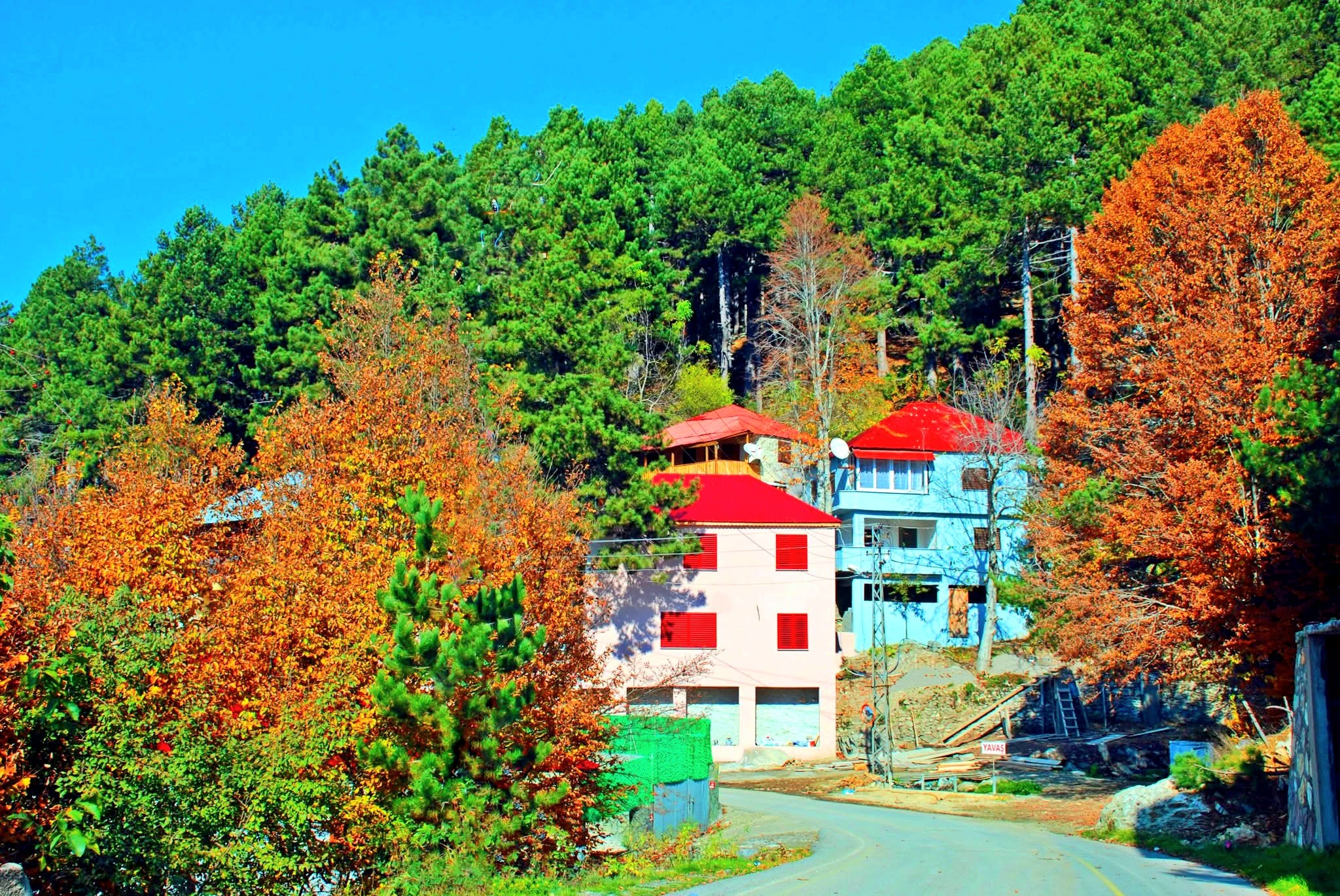 Dörtyol Bağrıaçık Yaylası Sonbaharda Renk Cümbüşü Sunuyor4