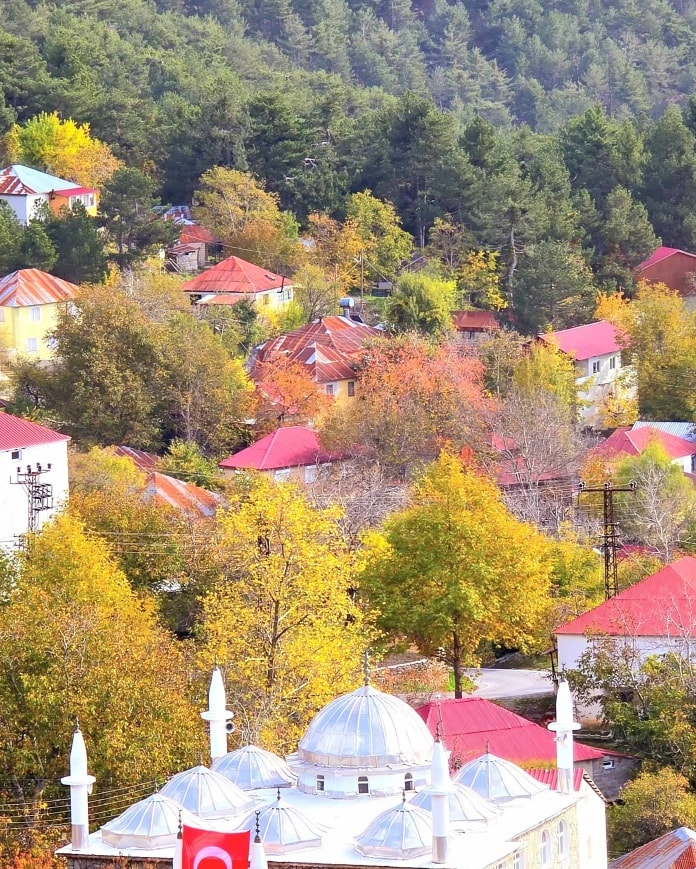Dörtyol Erzin Üçkoz Yaylası’nda Sonbaharın Büyüleyici Renkleri (3)