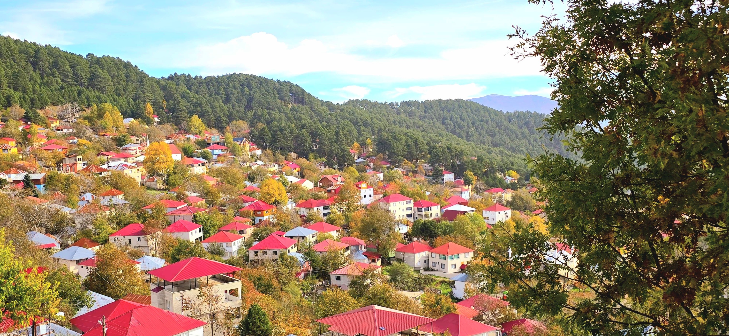 Dörtyol Üçkoz Yaylası’nda Sonbaharın Büyüleyici Renkleri3