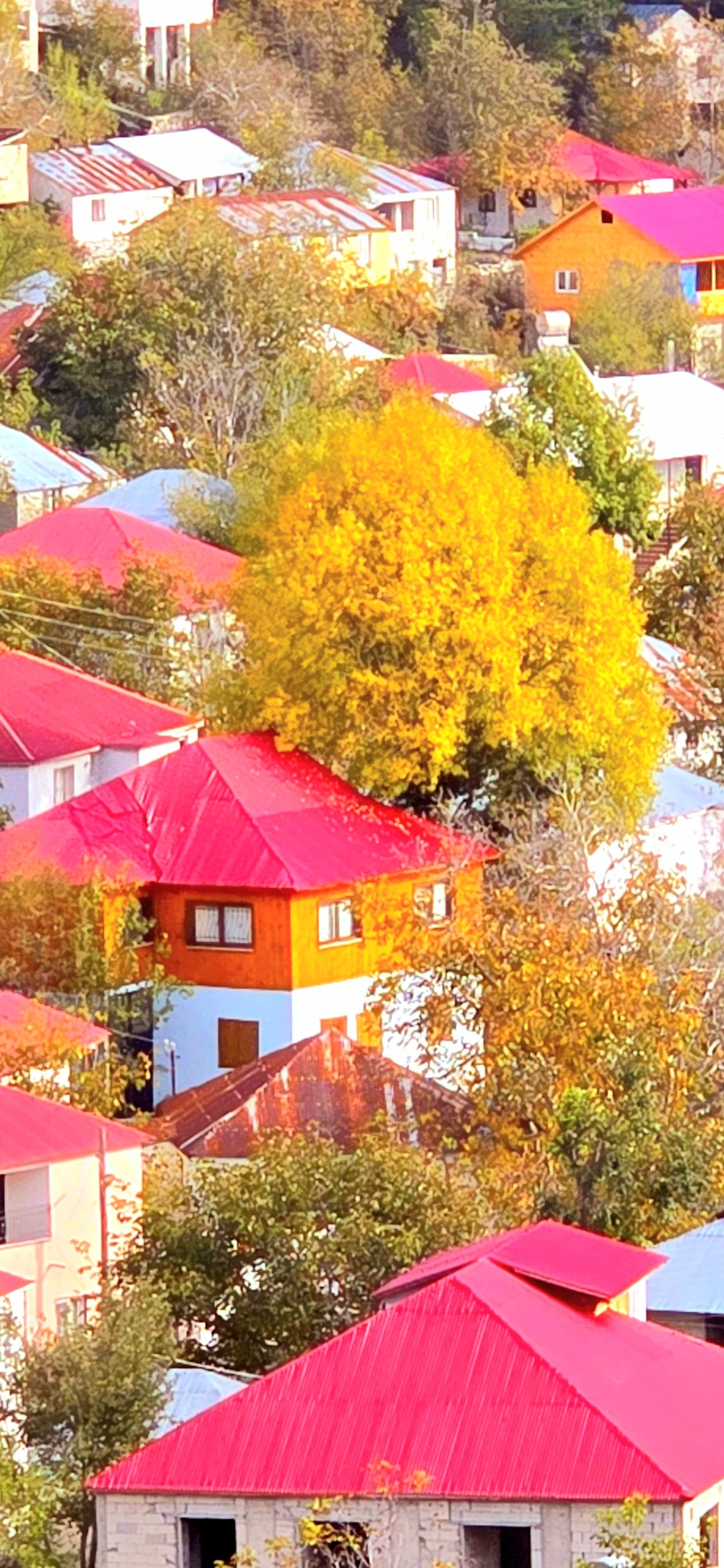 Dörtyol Üçkoz Yaylası’nda Sonbaharın Büyüleyici Renkleri6