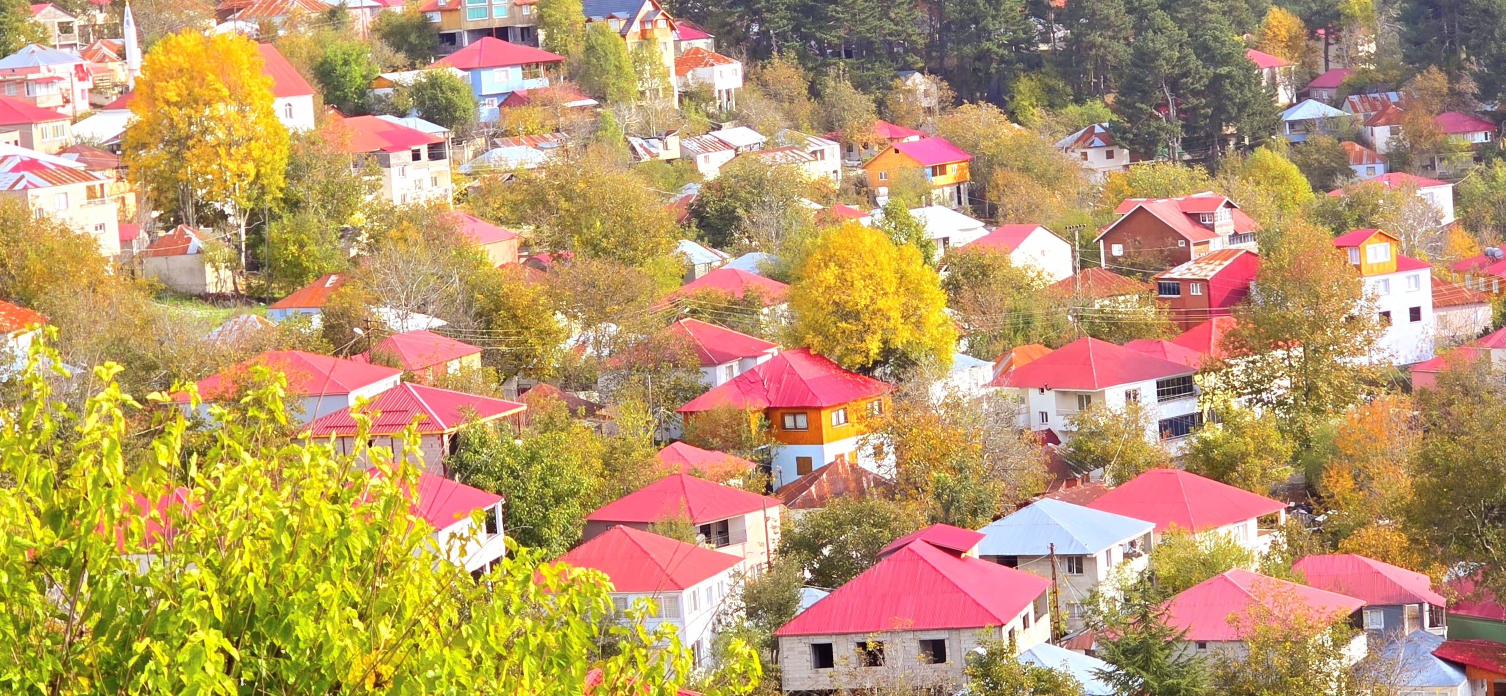 Dörtyol Üçkoz Yaylası’nda Sonbaharın Büyüleyici Renkleri7