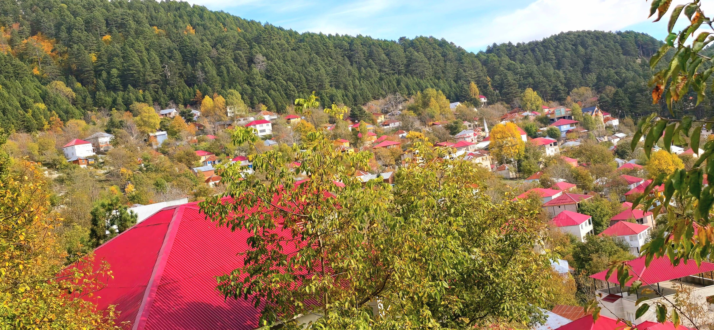 Dörtyol Üçkoz Yaylası’nda Sonbaharın Büyüleyici Renkleri8