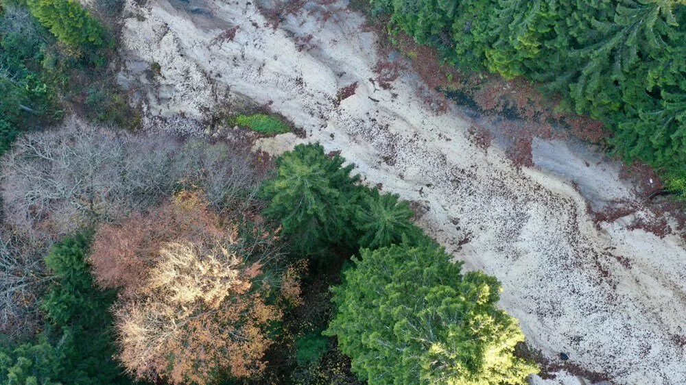 Doyumsuz Sonbahar Manzaraları Dereli’de Göz Kamaştırıyor2