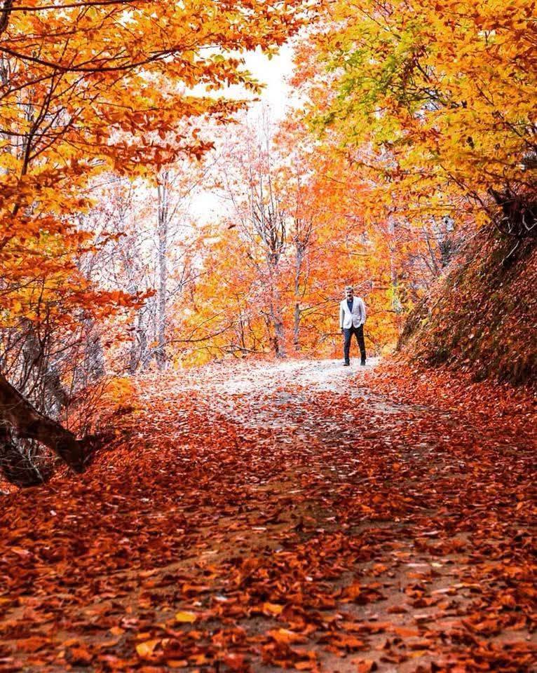 Düziçi Dumanlı Yaylası’nda Sonbahar Büyüsü (2)