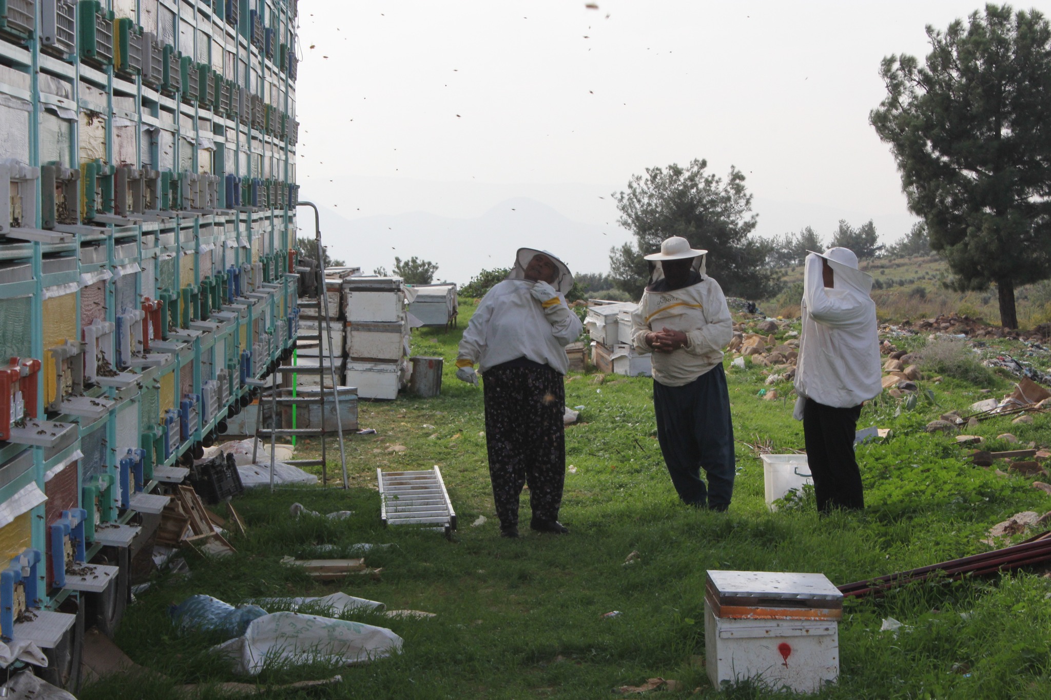 Düziçi’nde Arılı Kovan Tespit Çalışmaları Sürüyor3