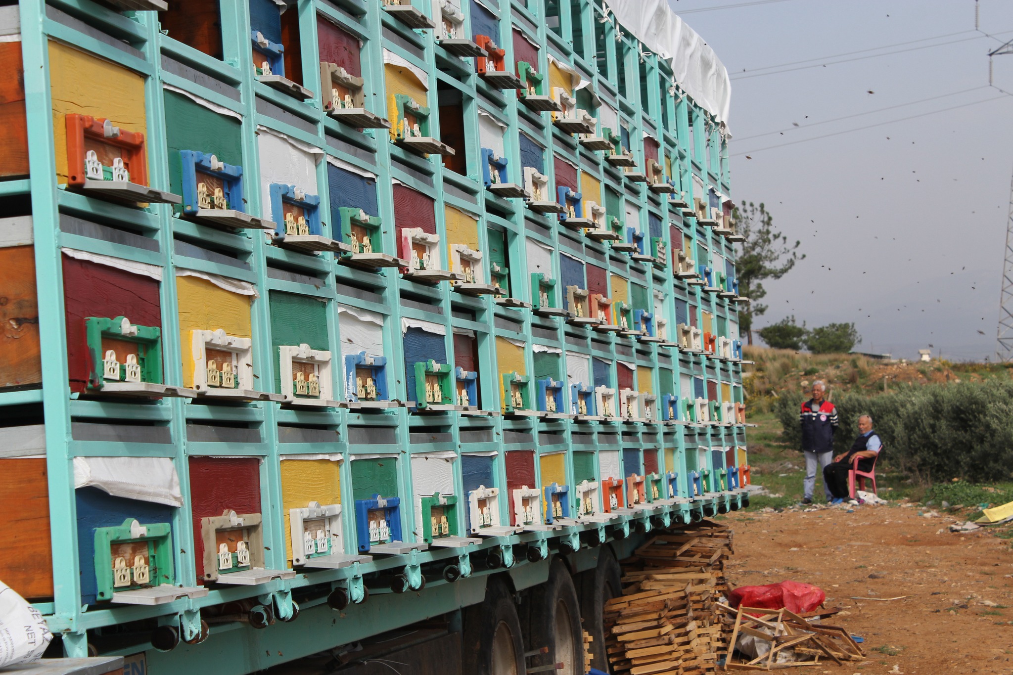 Düziçi’nde Arılı Kovan Tespit Çalışmaları Sürüyor5
