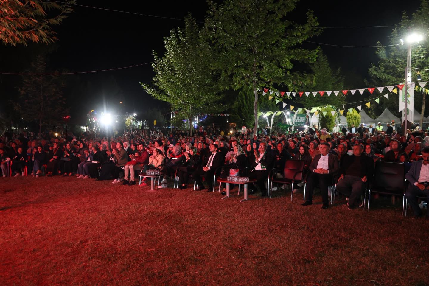 Ellek’te Yeşil Altın Zeytin Festivali Coşkuyla Sona Erdi (14)