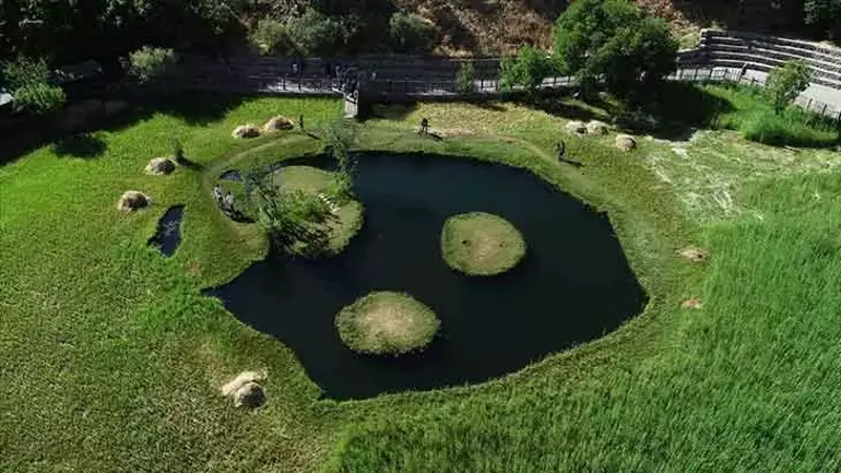 “Erzurum’un Doğal Güzellikleriyle Tanışın 6 Muhteşem Rota!”4