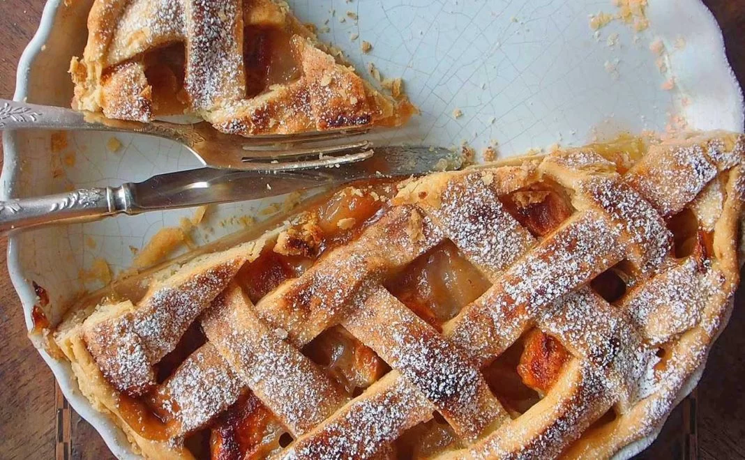 Evde Pastane Lezzeti Tarçınlı Elmalı Turta Tarifi3