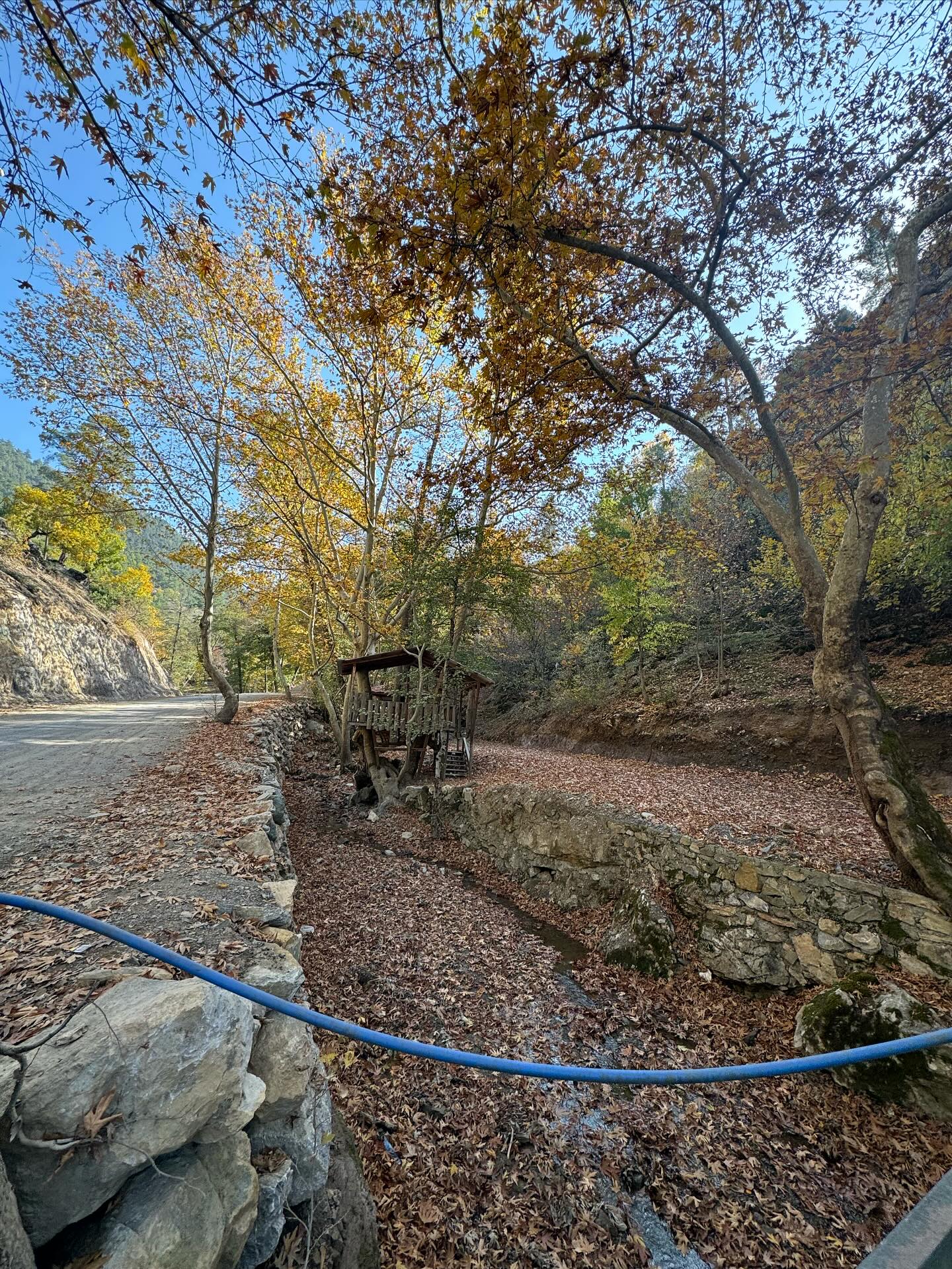Feke Geçirimoluk Mevkisinde Sonbahar Şöleni Başladı3