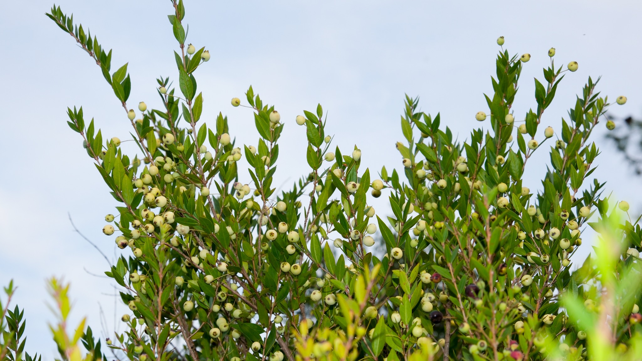 Ferhatlı Kozan’da Altyapı Ve Yatırımlarla Gelişiyor2