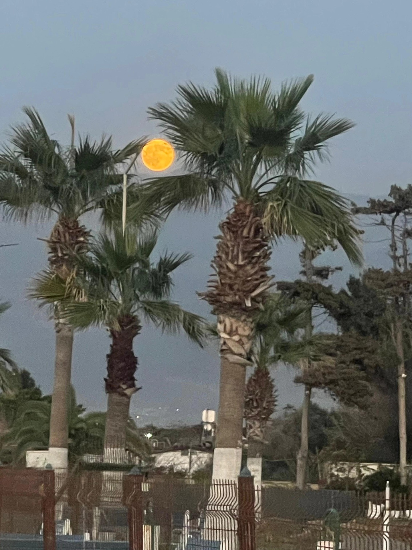 Güneş Denize Veda Ederken, Dolunay Gökyüzünü Aydınlattı (2)