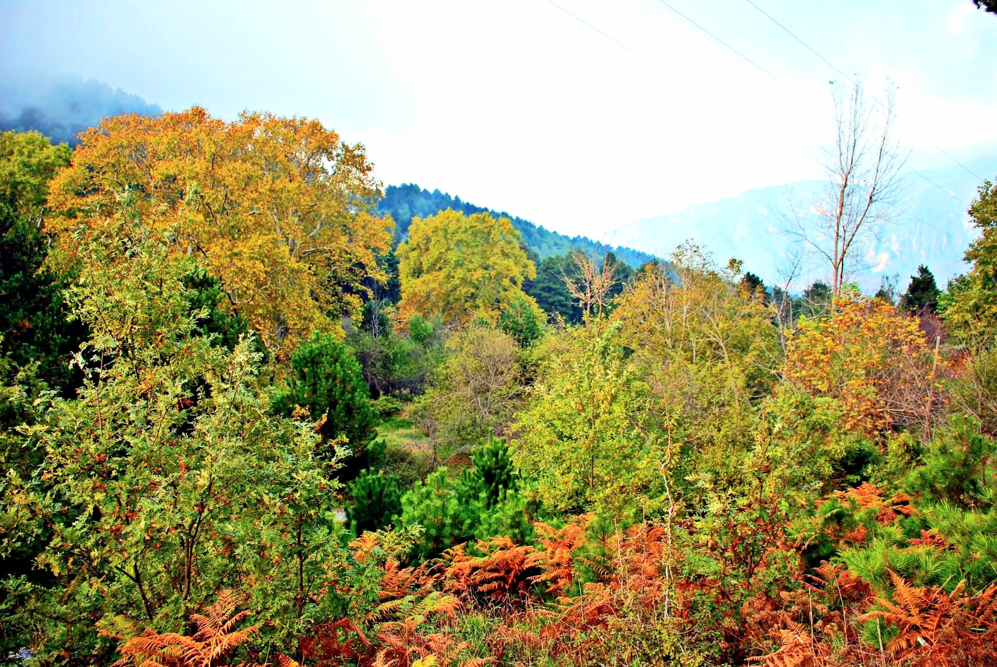 Haçbel’de Sonbahar Renkleri Büyülüyor2
