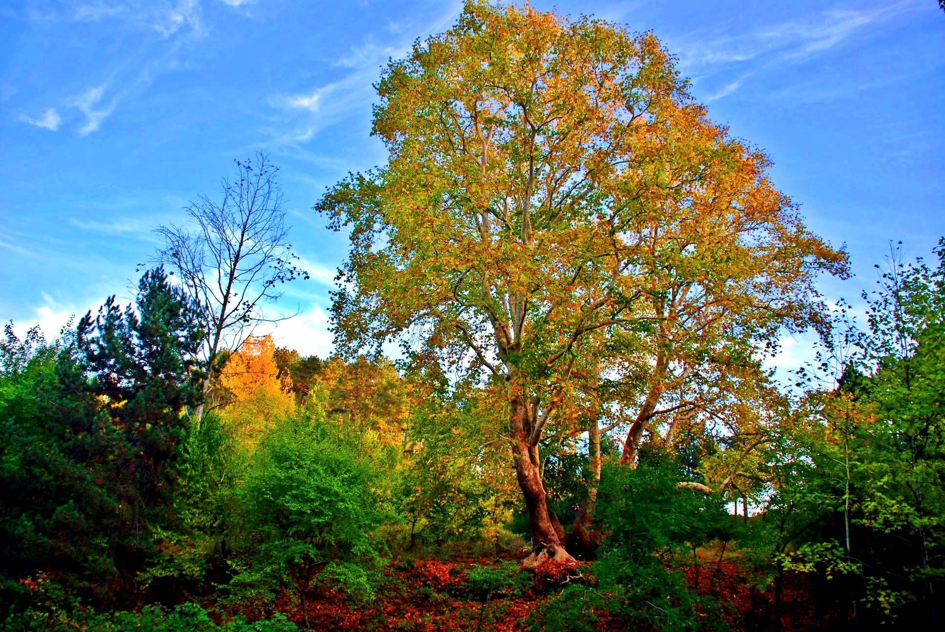 Haçbel’de Sonbahar Renkleri Büyülüyor3