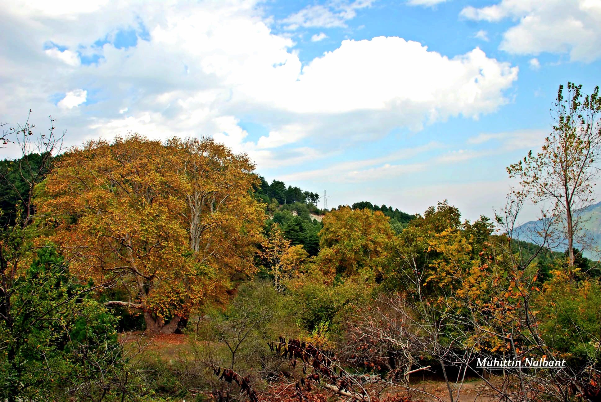 Haçbel’de Sonbahar Renkleri Büyülüyor4