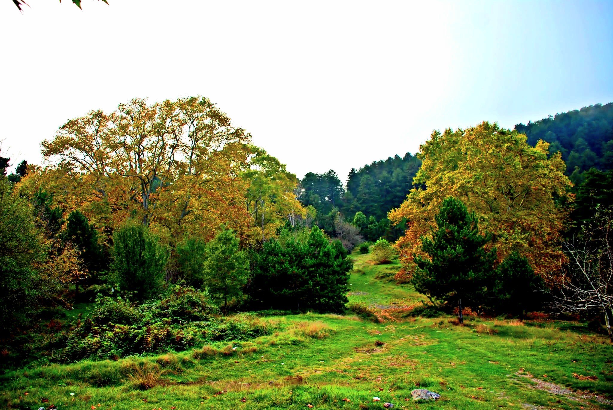 Haçbel’de Sonbahar Renkleri Büyülüyor7