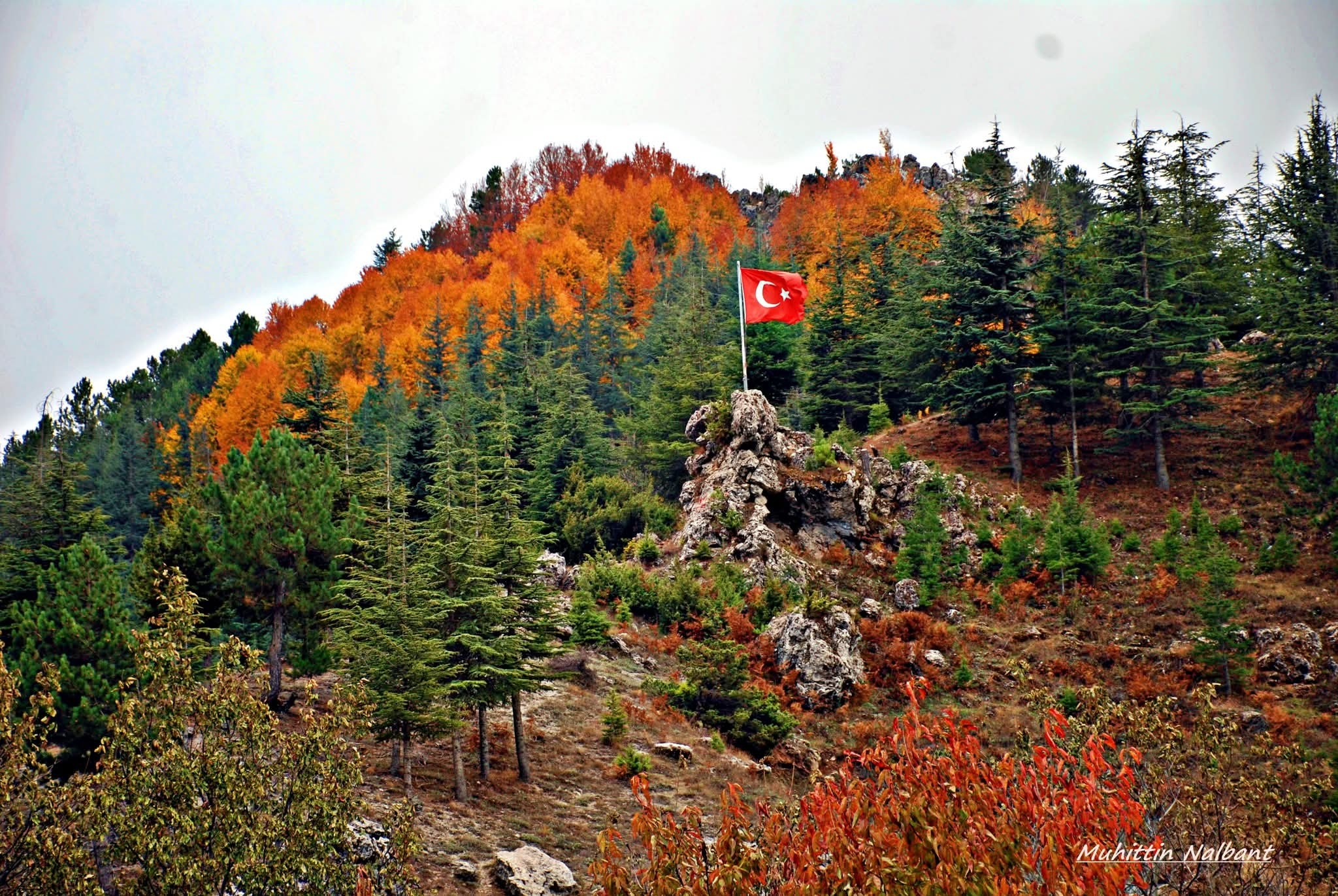 Hınzırlı Yaylası’nda Huzur Ve Vatan Sevgisi Buluştu2
