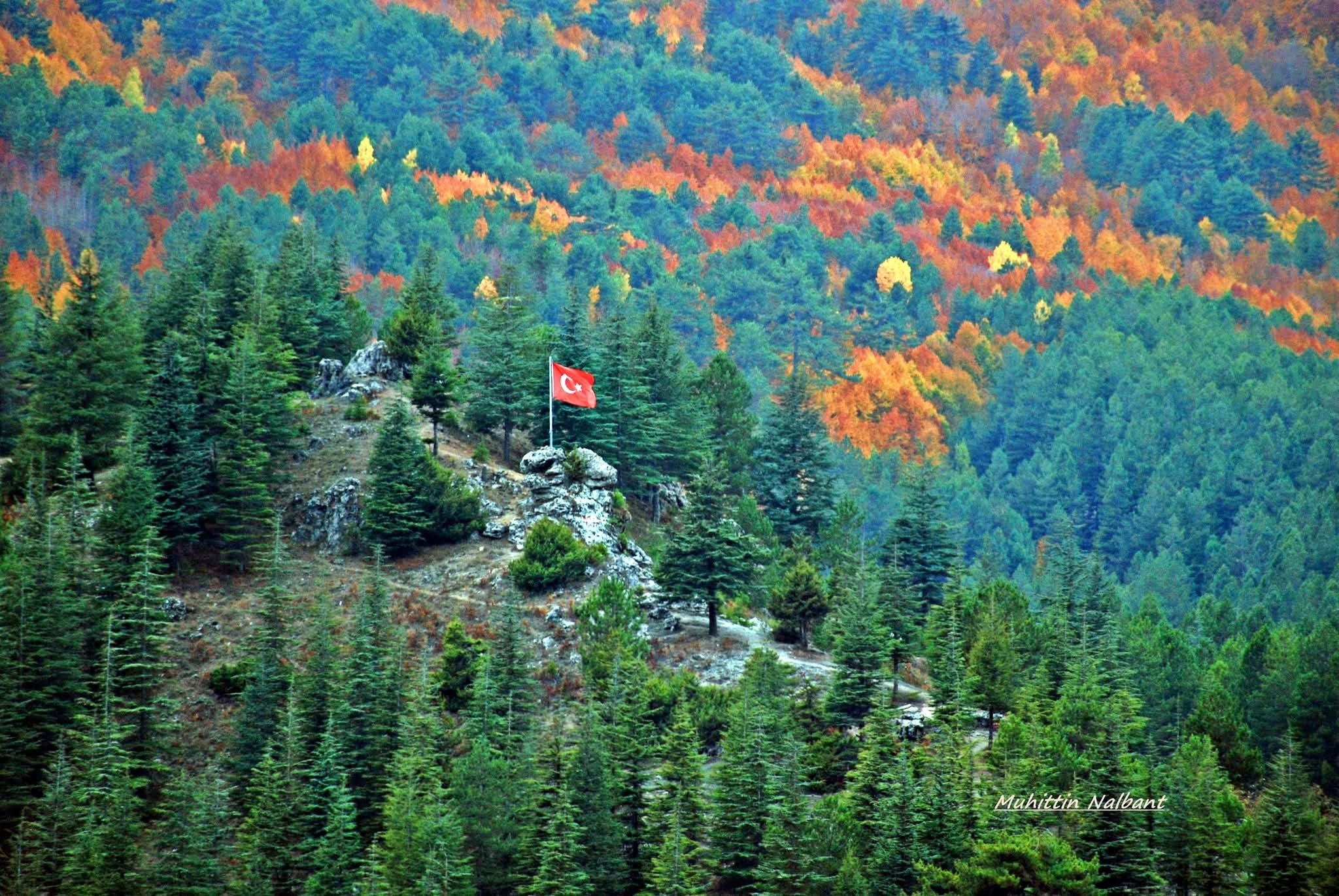 Hınzırlı Yaylası’nda Huzur Ve Vatan Sevgisi Buluştu3