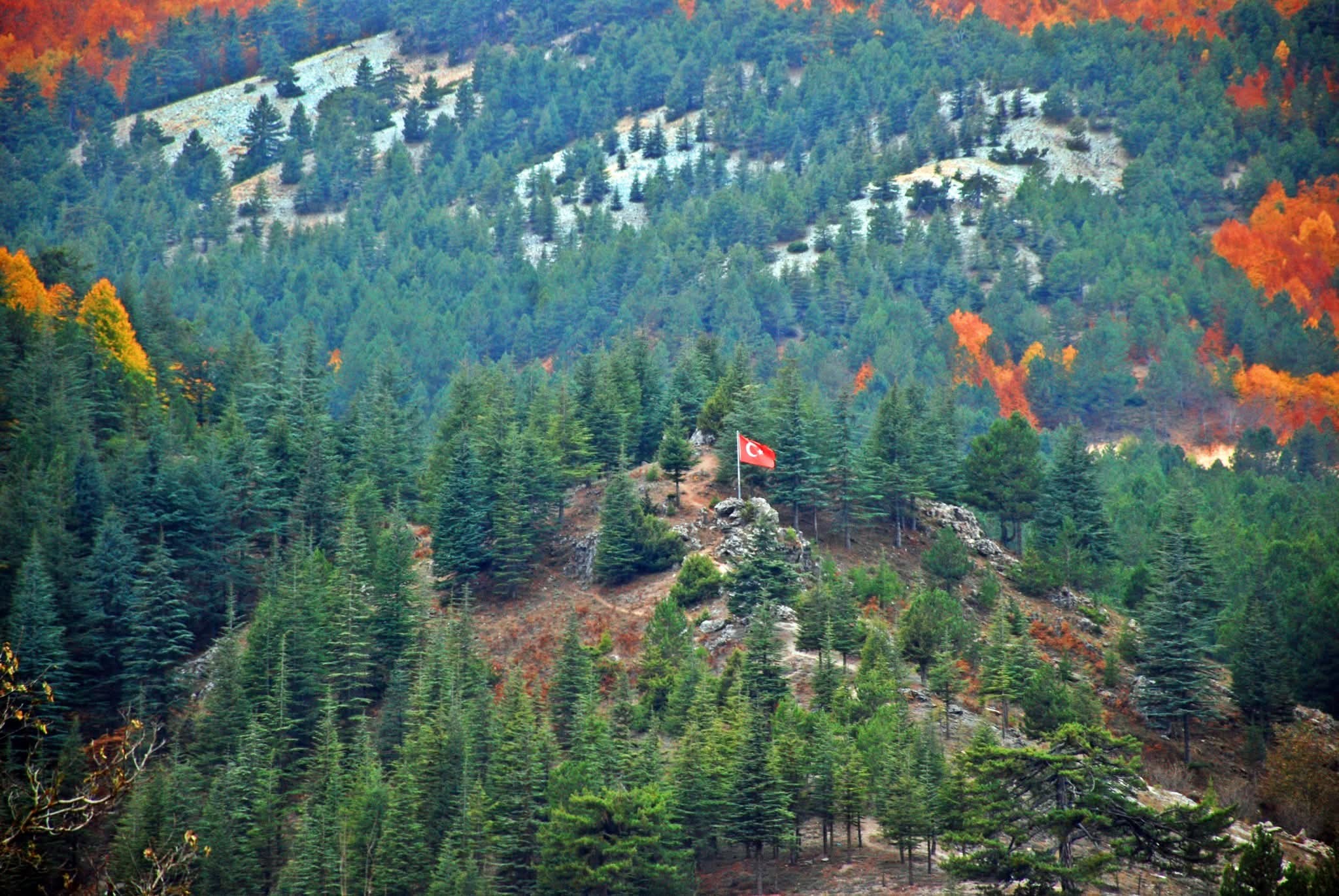 Hınzırlı Yaylası’nda Huzur Ve Vatan Sevgisi Buluştu4