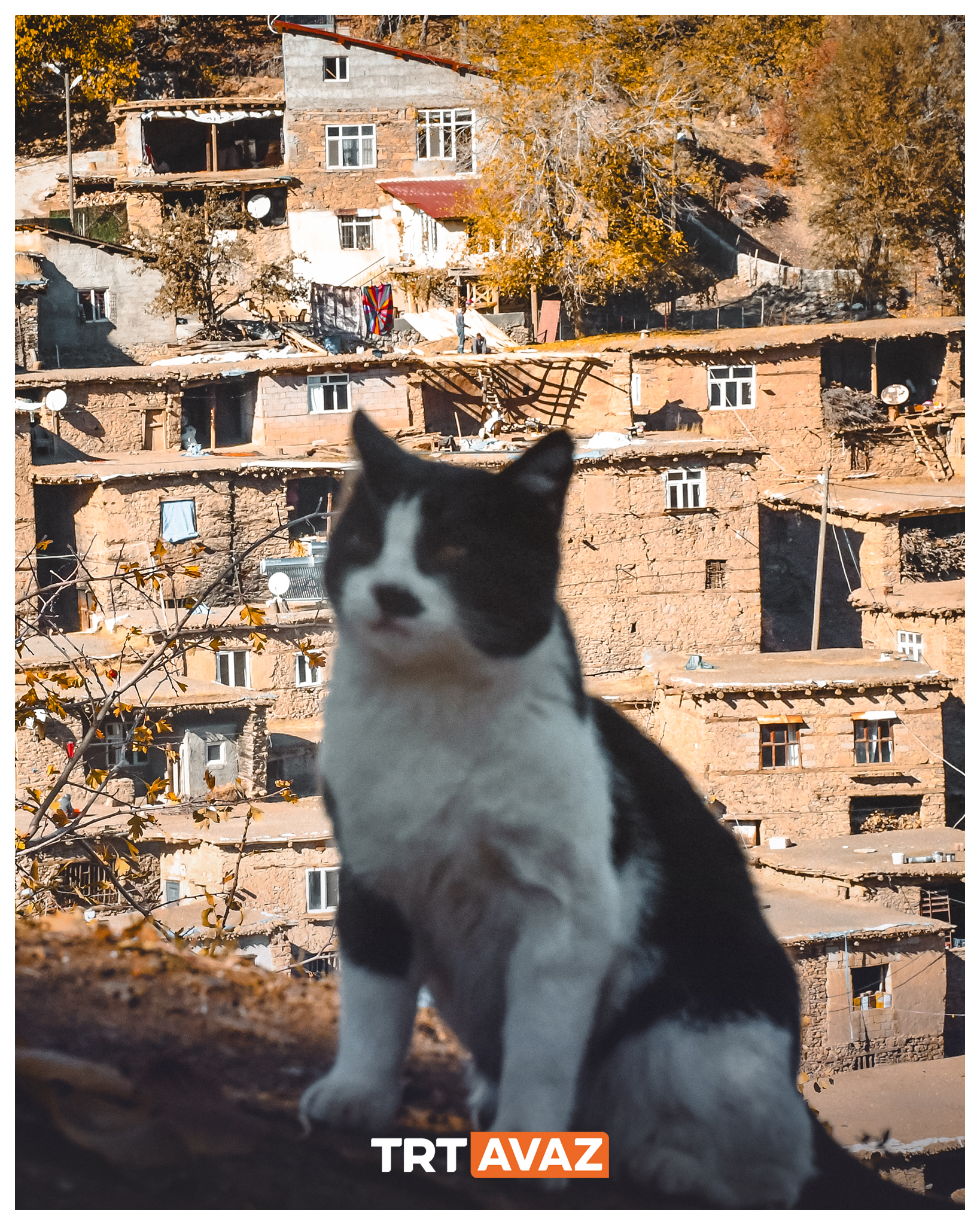 Hizan Uzuntaş Köyü Sonbahar Renkleriyle Büyülüyor3