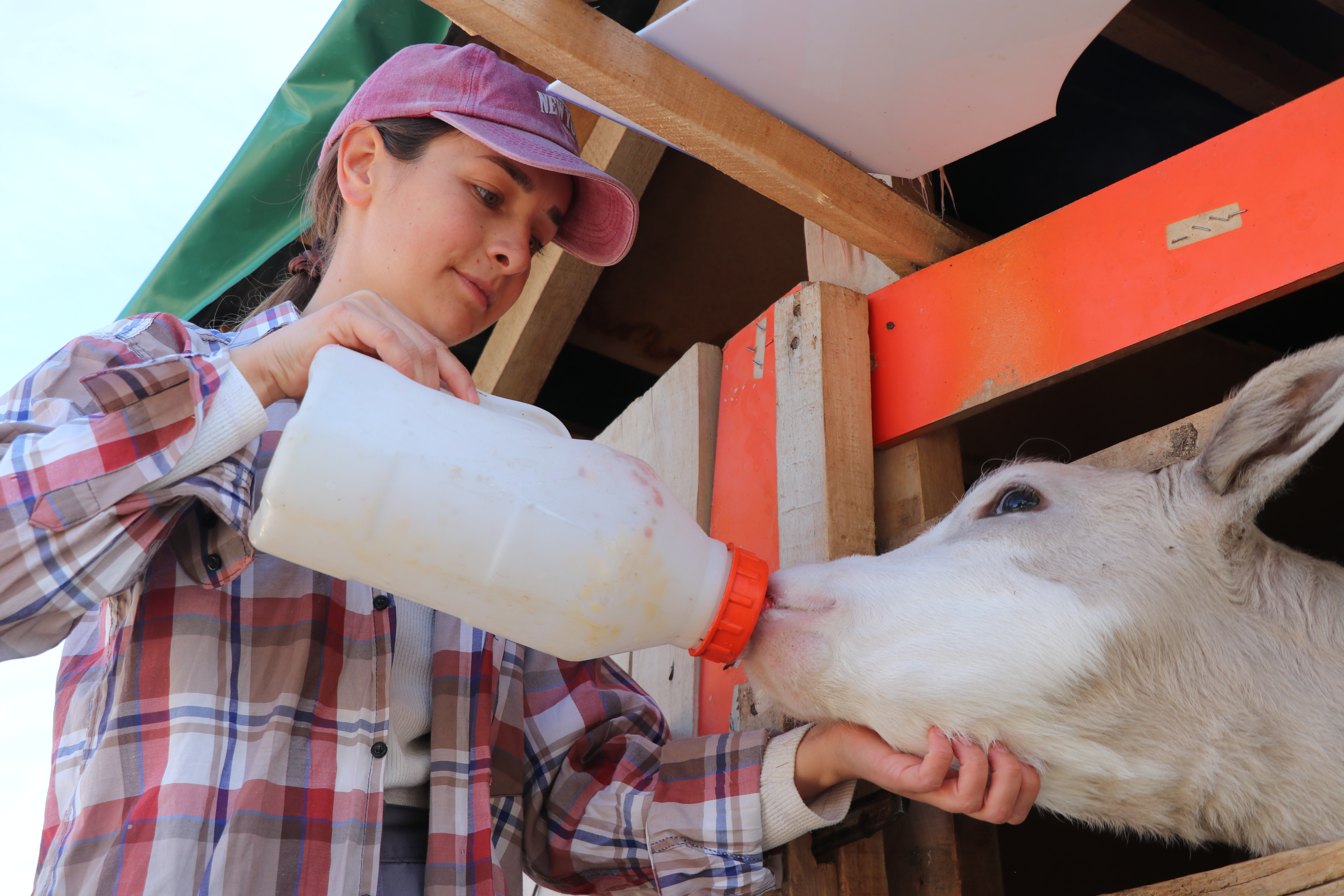 İş Kazası Geçiren Çiftçi Babanın En Büyük Destekçisi Kızı Oldu
