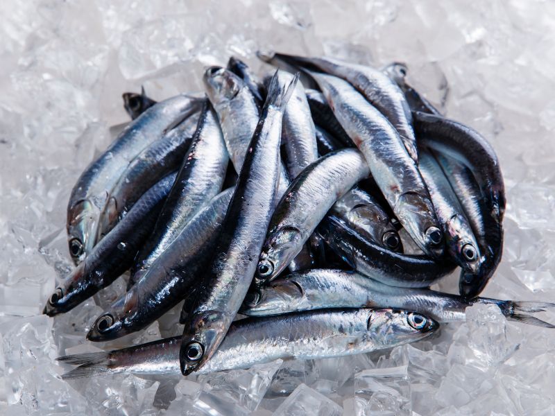 İstanbul’da Hamsi Kokusu Nasıl Giderilir 10 Pratik Yöntem2