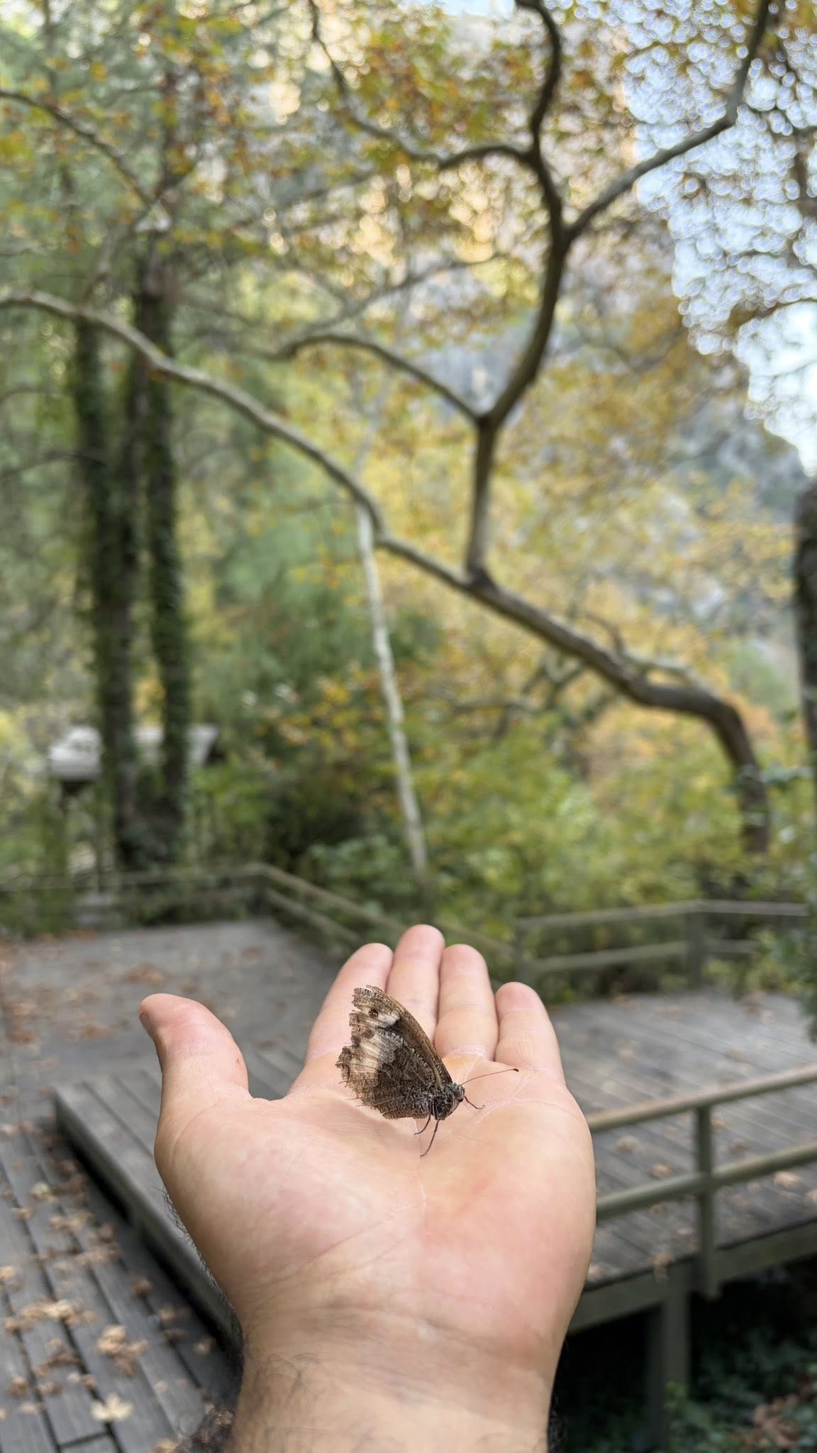 Kapıkaya Kanyonu Adana’nın Gizli Doğa Cenneti4