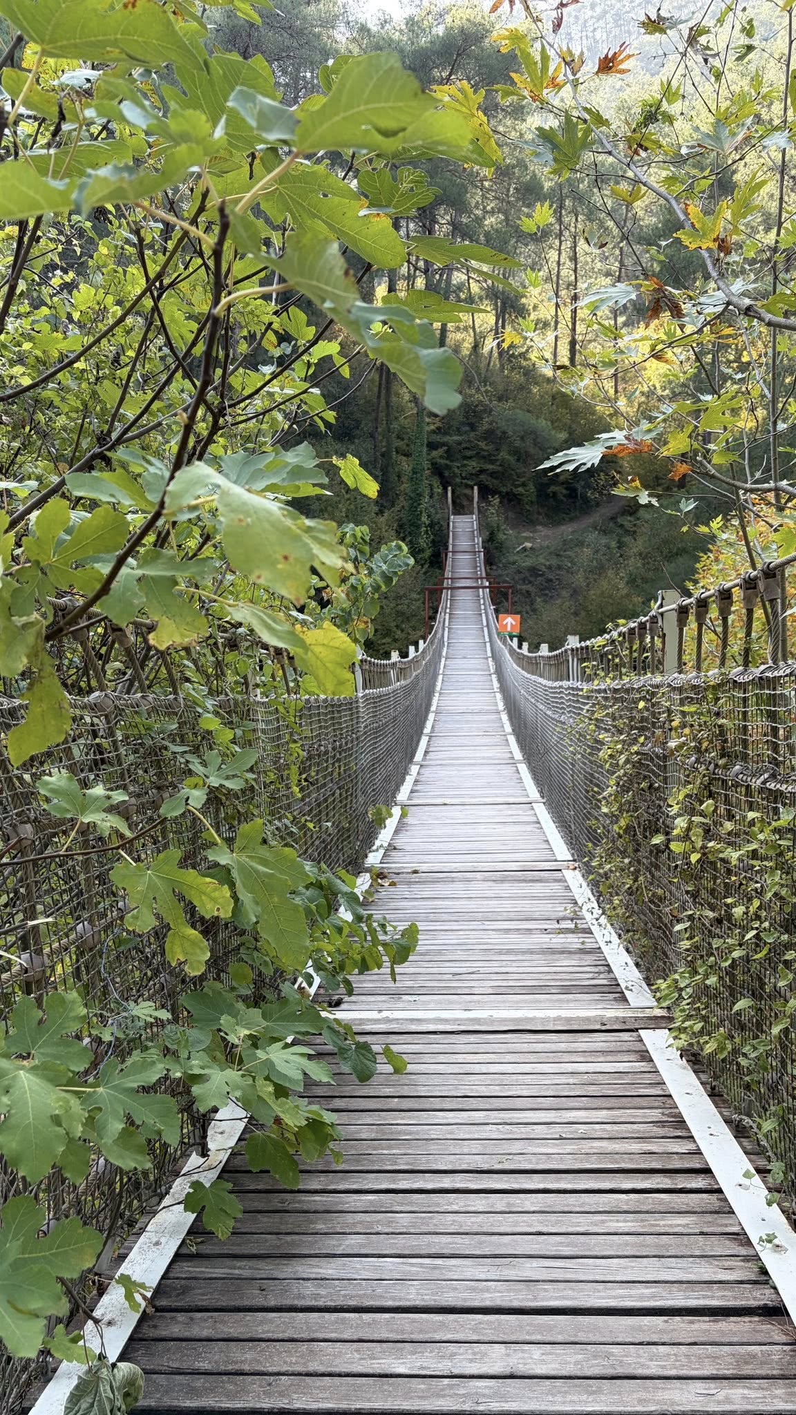 Kapıkaya Kanyonu Adana’nın Gizli Doğa Cenneti5