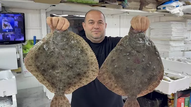 Karadeniz Tezgahlarında Hamsi Ve Çeşit Bolluğu Yaşanıyor2