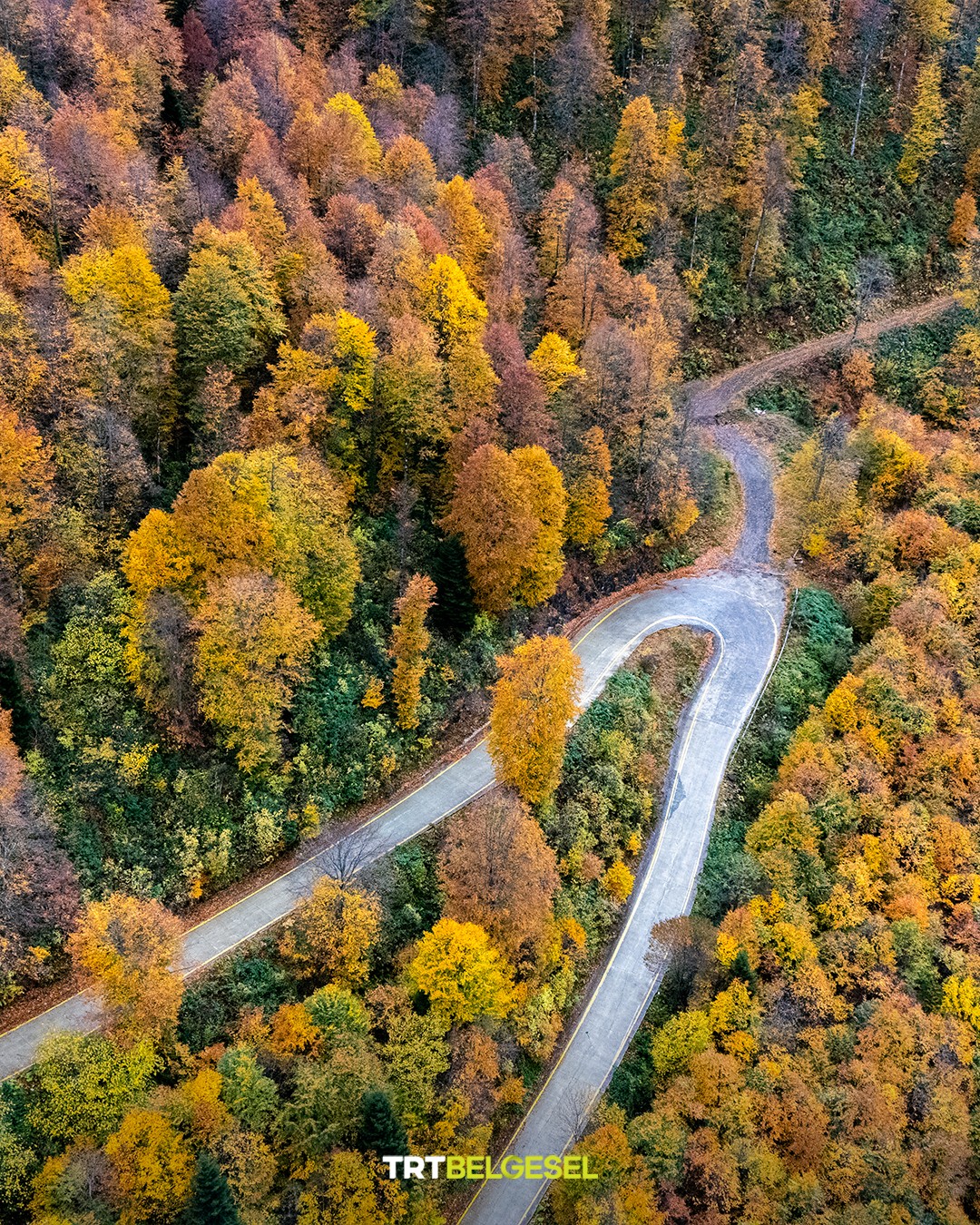 Karadeniz Yaylalarında Sonbahar Büyüsü10