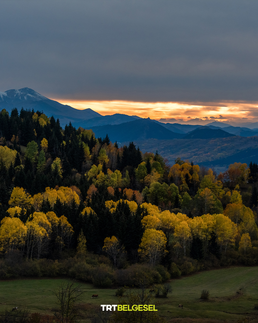 Karadeniz Yaylalarında Sonbahar Büyüsü2