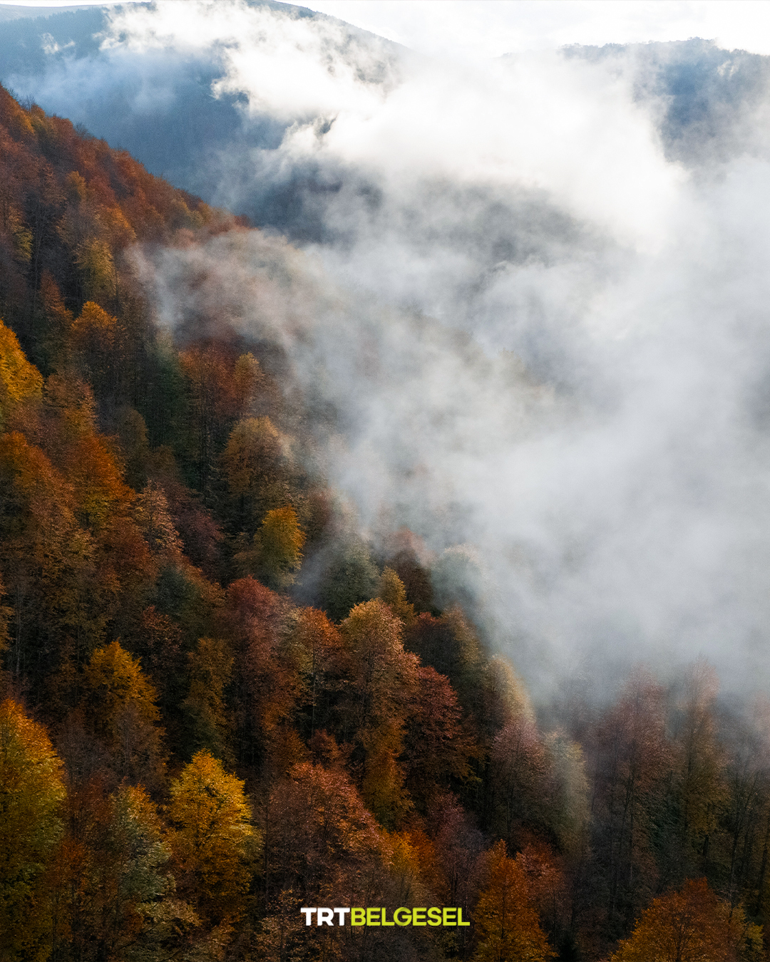 Karadeniz Yaylalarında Sonbahar Büyüsü4