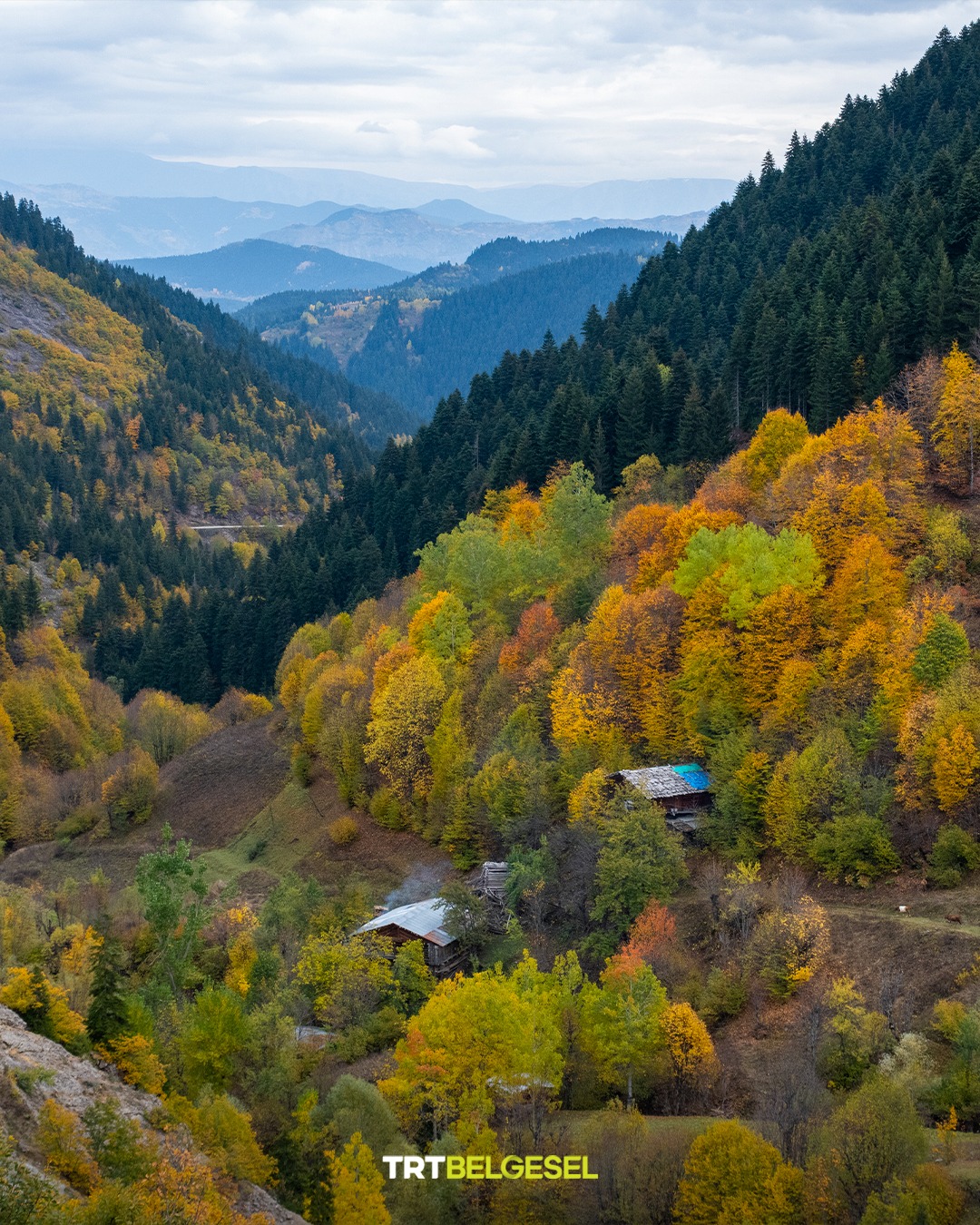 Karadeniz Yaylalarında Sonbahar Büyüsü5