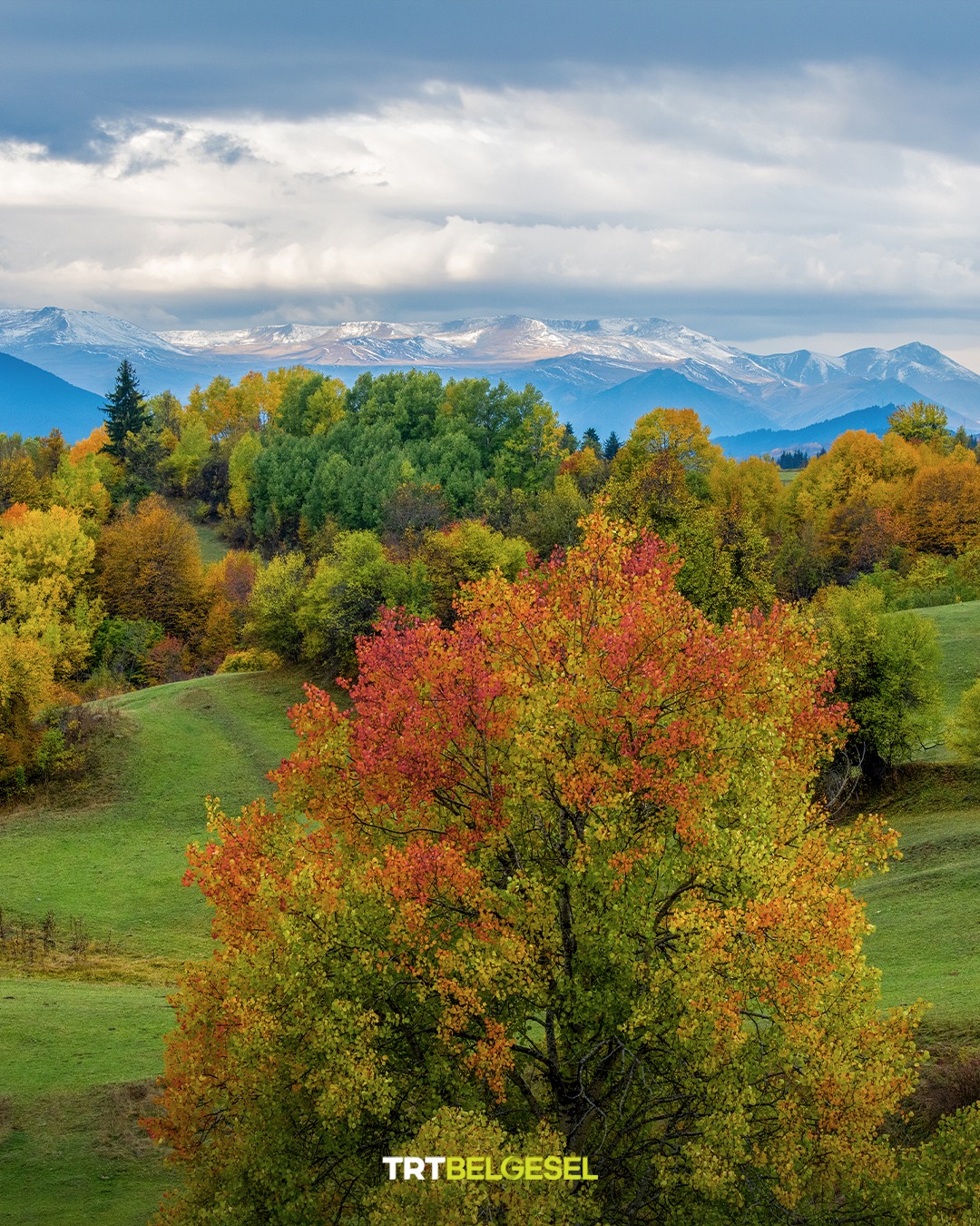 Karadeniz Yaylalarında Sonbahar Büyüsü8