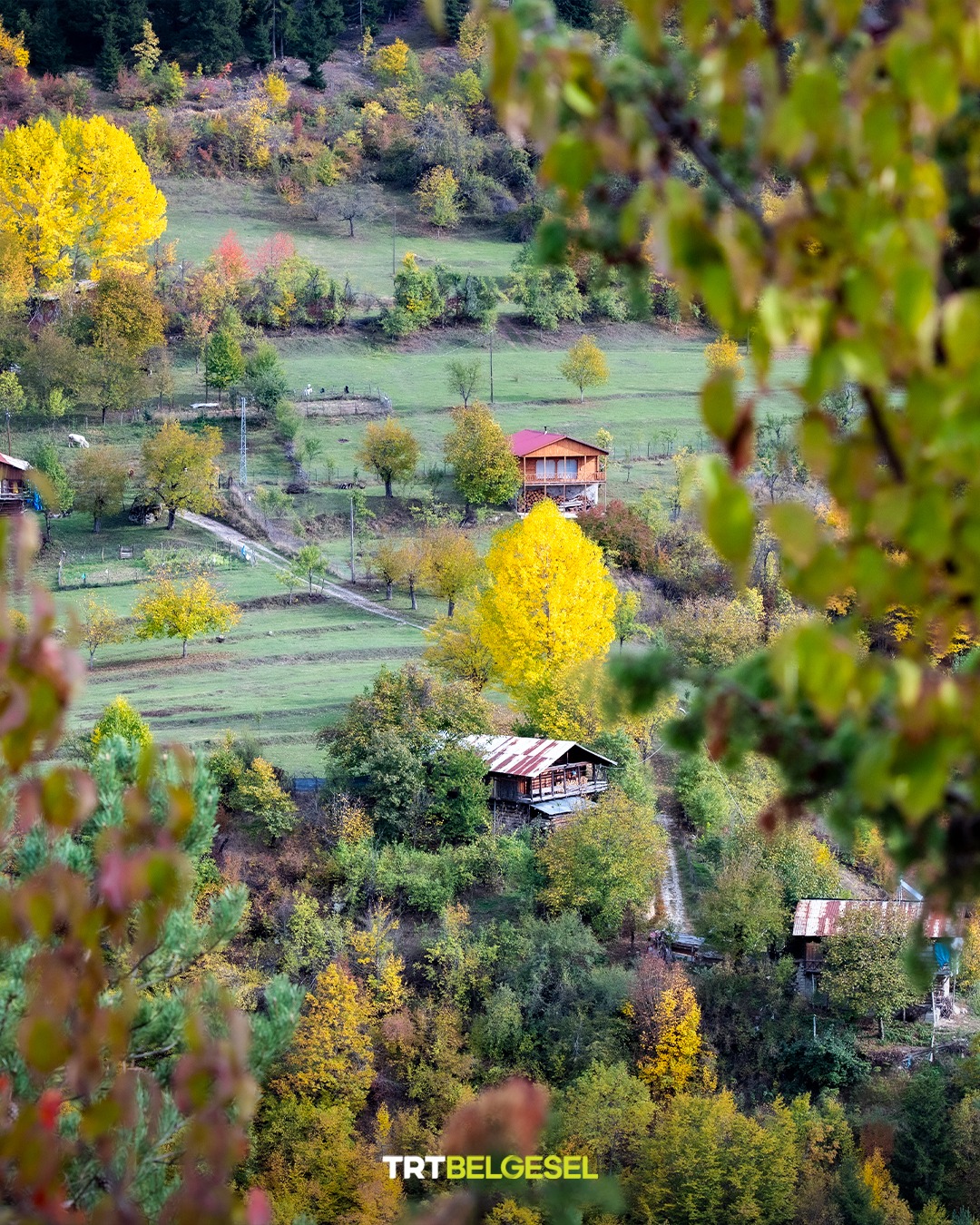 Karadeniz Yaylalarında Sonbahar Büyüsü9