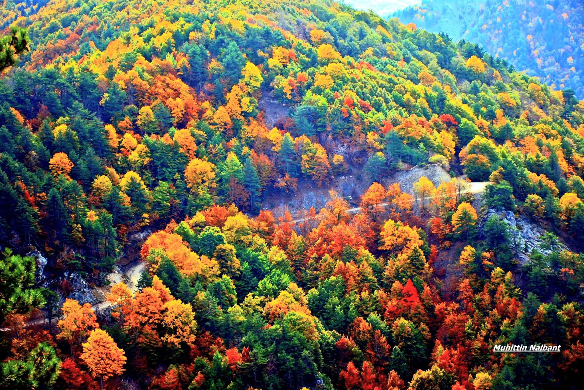 Kızlarufacıığı Yaylası İslahiye Yaylalarının Cennet Köşesi3