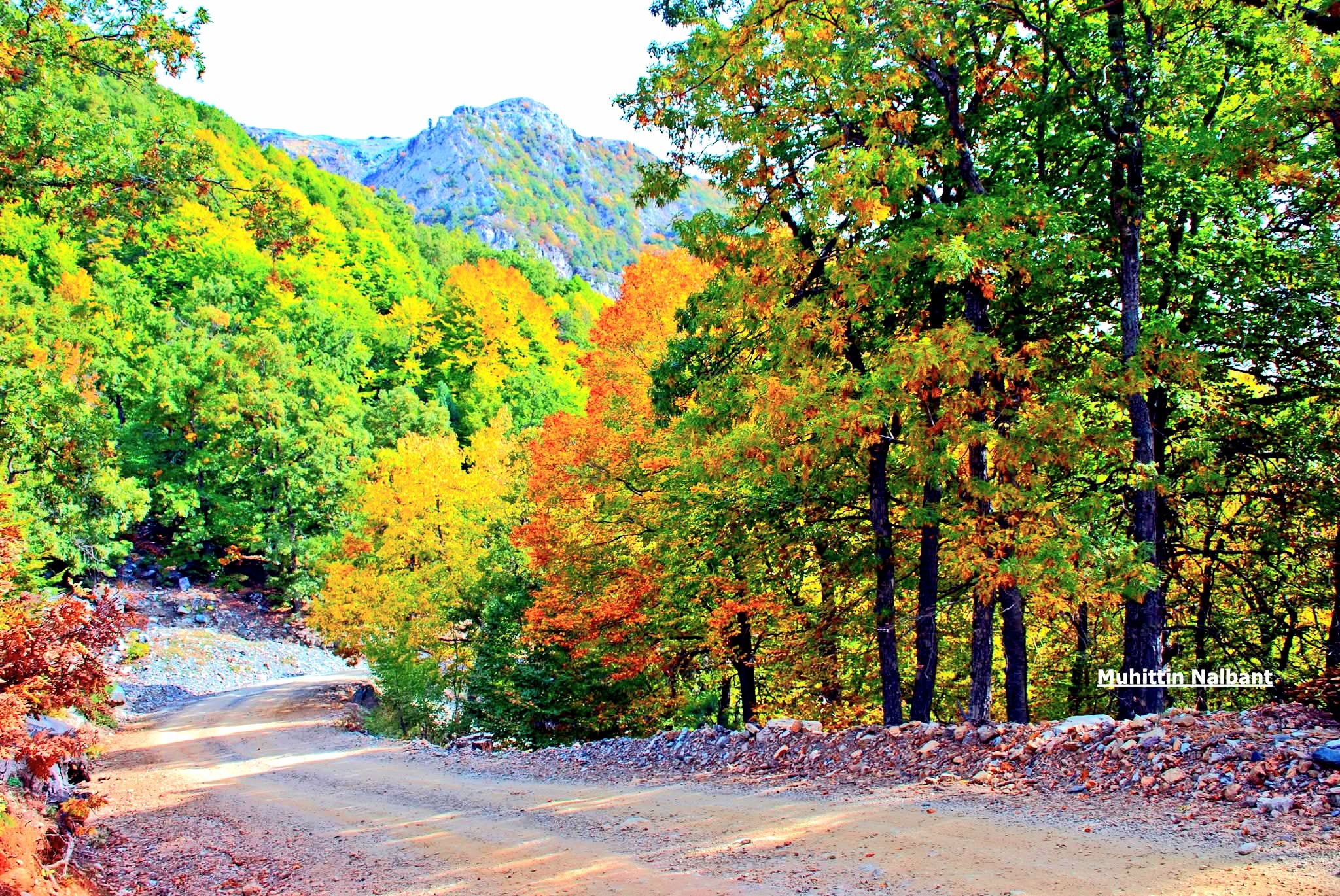 Kızlarufacıığı Yaylası İslahiye Yaylalarının Cennet Köşesi4