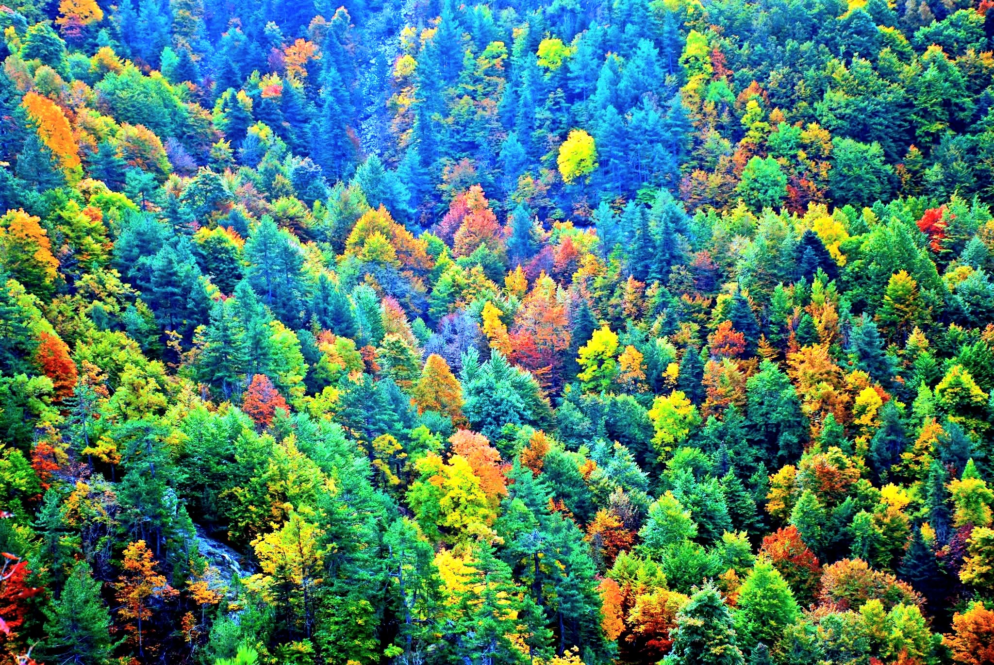 Kızlarufacıığı Yaylası İslahiye Yaylalarının Cennet Köşesi5