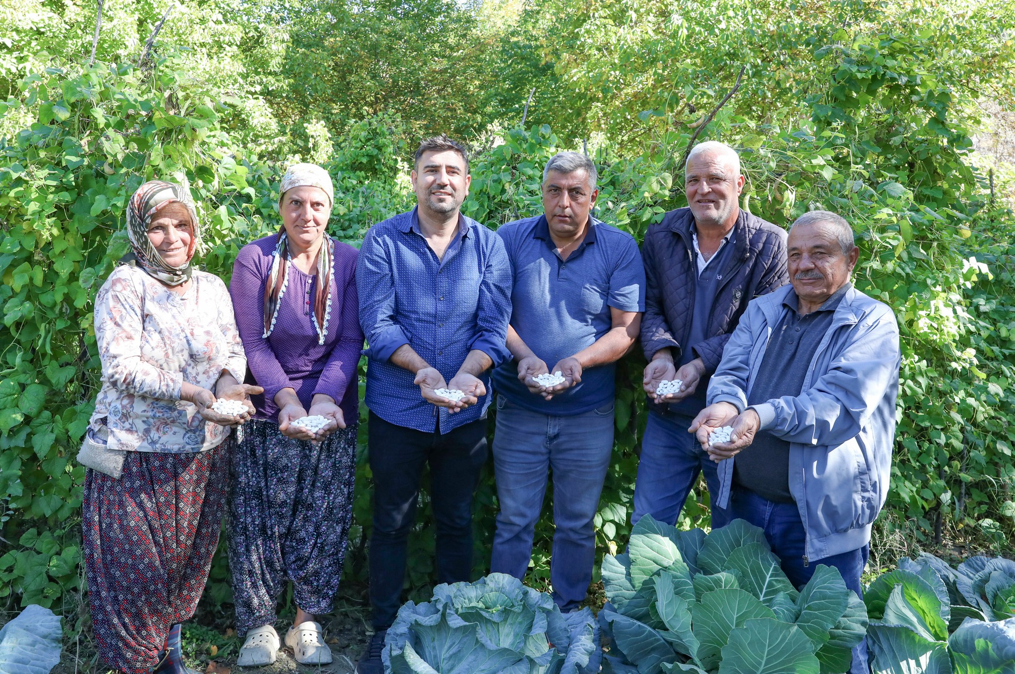 Leklek Fasulyesi Gülnar’da Yeniden Ekildi (5)
