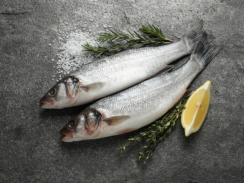 Levrek Balığının Büyüğüne Ne Denir Kaba Mı Paşa Mı2