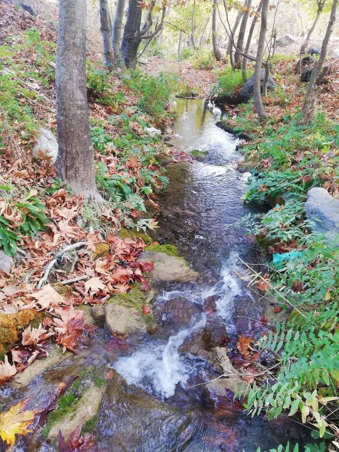 Nacar Yaylası'nda Hazan Başkadır Çınarlar Altında Sonbahar Büyüsü (2)