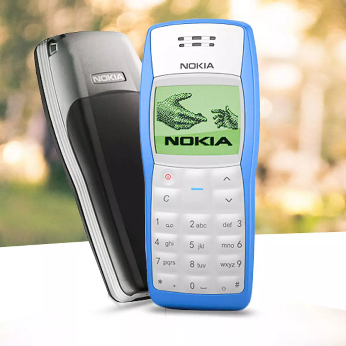 Nokia 1100 (3)
