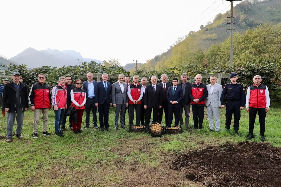 Ordu’da Kivi Hasadıyla Üretici Gelirleri Artıyor3