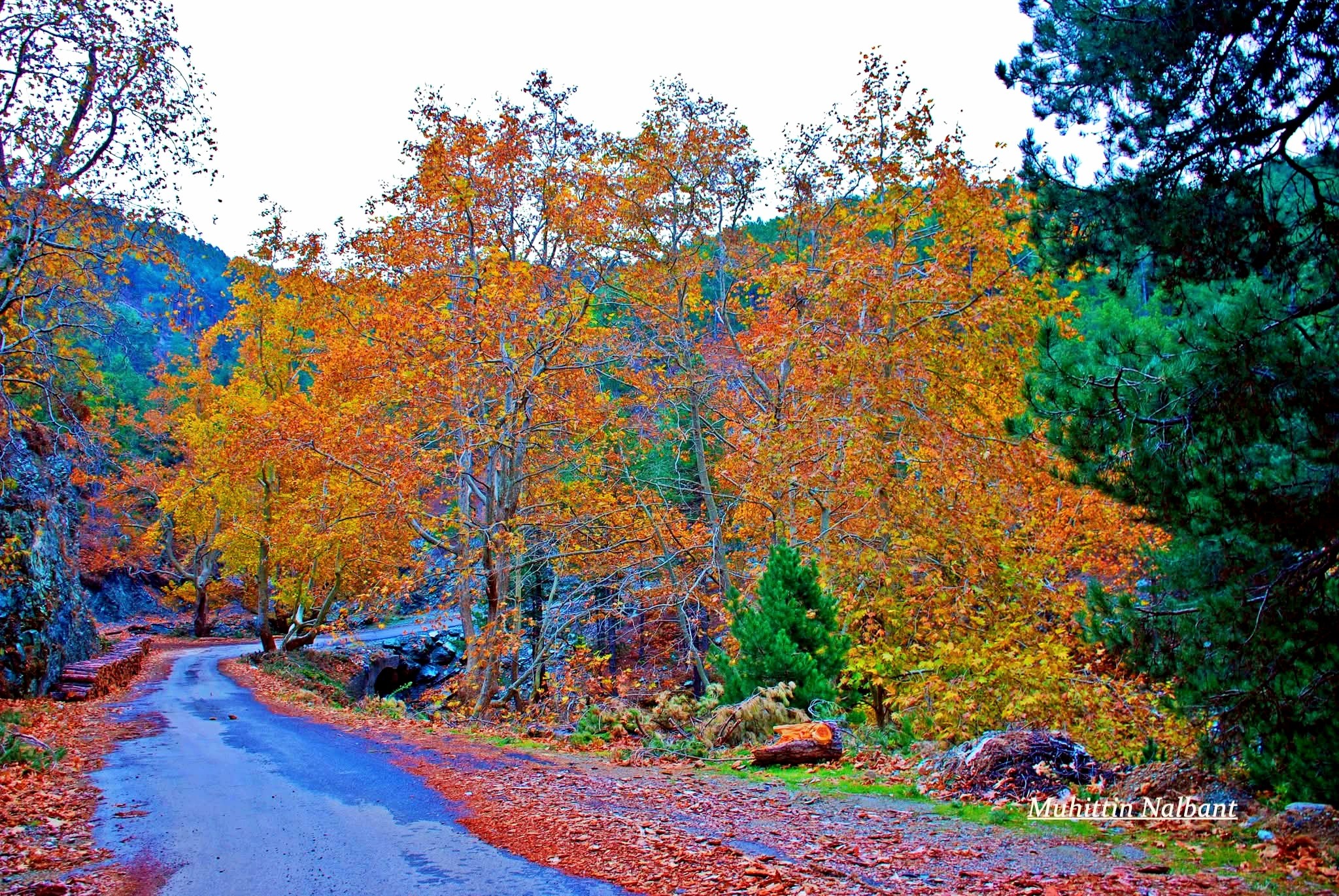 Osmaniye Amanos Dağları Çataloluk’ta Doğa Harikası Keşfi2