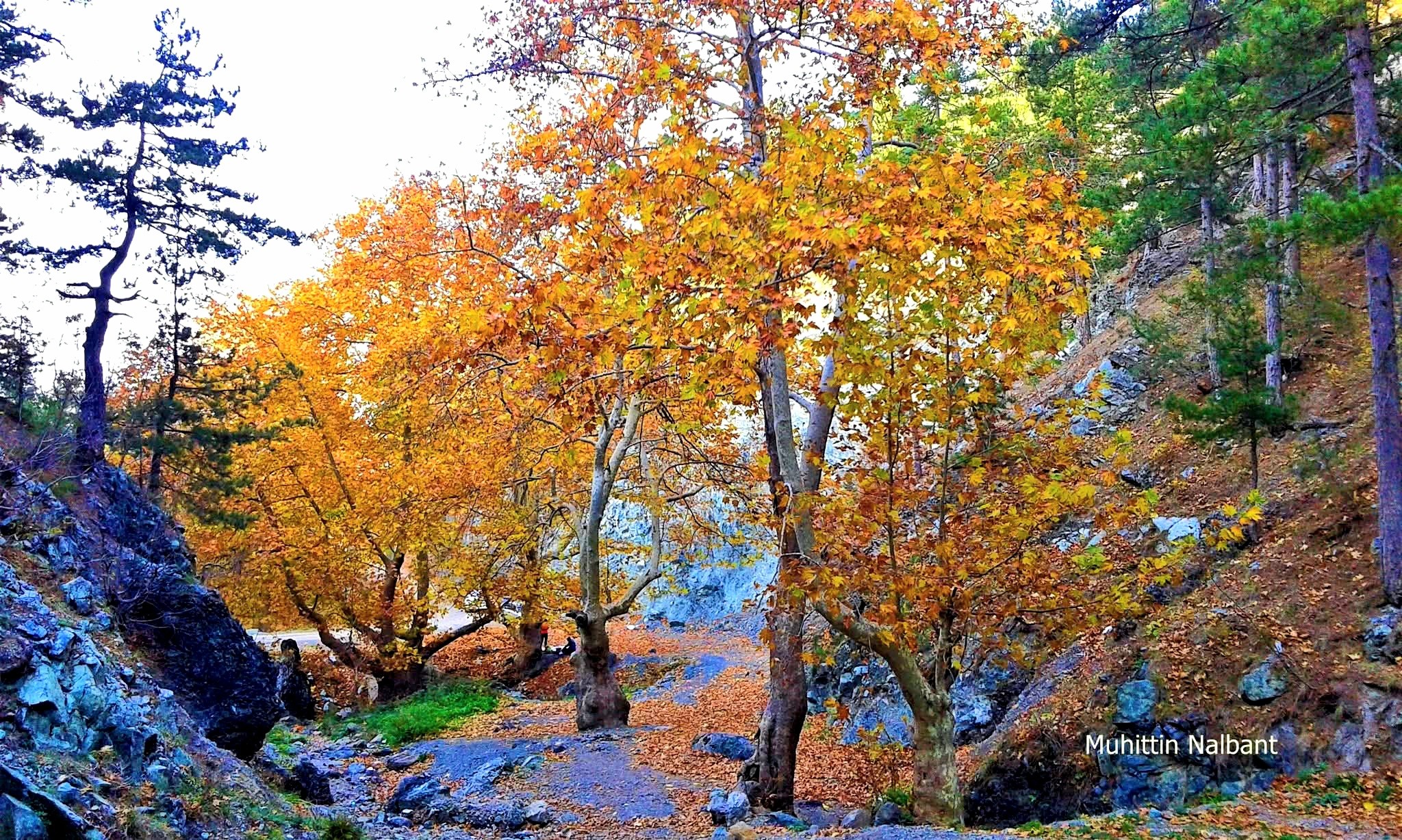 Osmaniye Amanos Dağları Çataloluk’ta Doğa Harikası Keşfi3